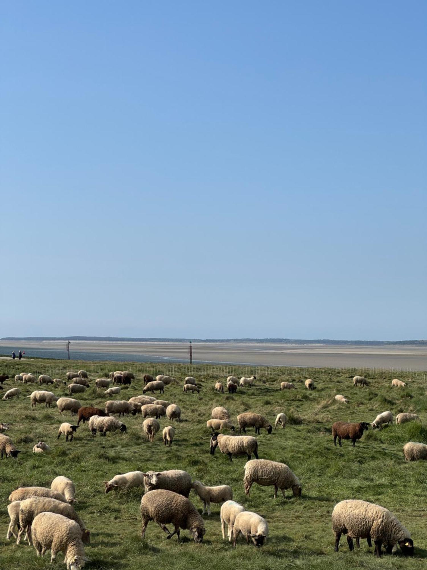 Gite Du Flot - Baie De Somme Boismont  Ngoại thất bức ảnh