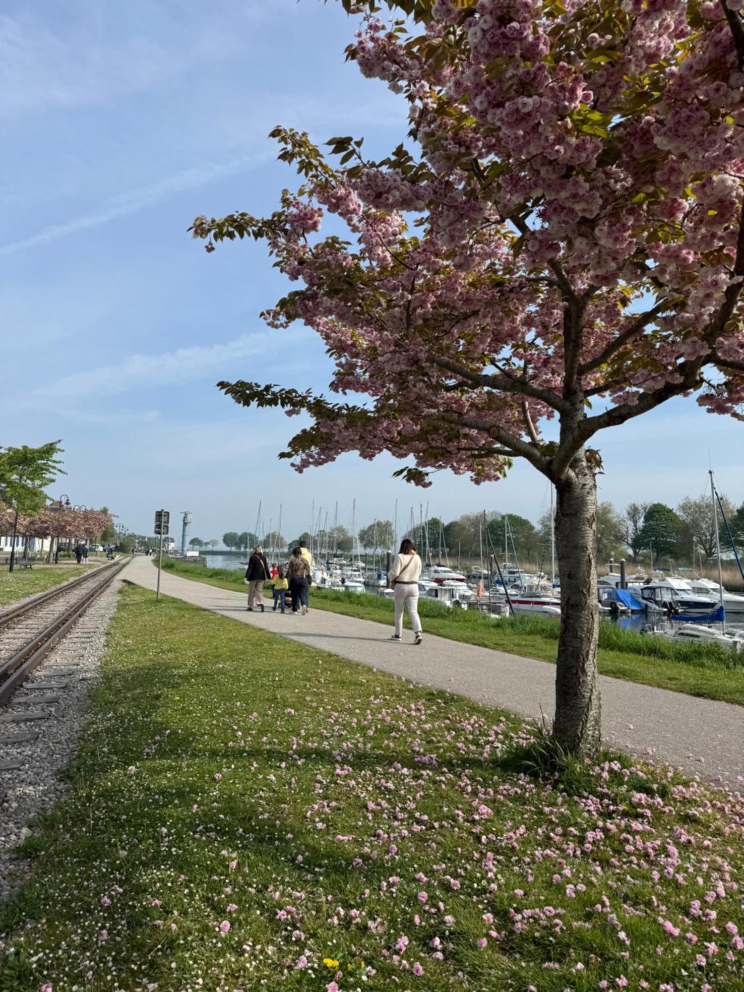 Gite Du Flot - Baie De Somme Boismont  Ngoại thất bức ảnh
